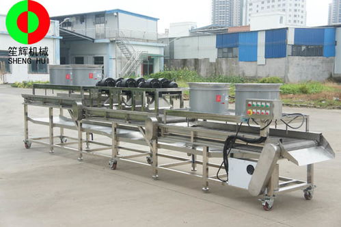 博樂(lè)砂糖橘速凍生產(chǎn)線(xiàn)與草石蠶生產(chǎn)線(xiàn)性?xún)r(jià)比及紙板復(fù)合生產(chǎn)線(xiàn)選購(gòu)指南